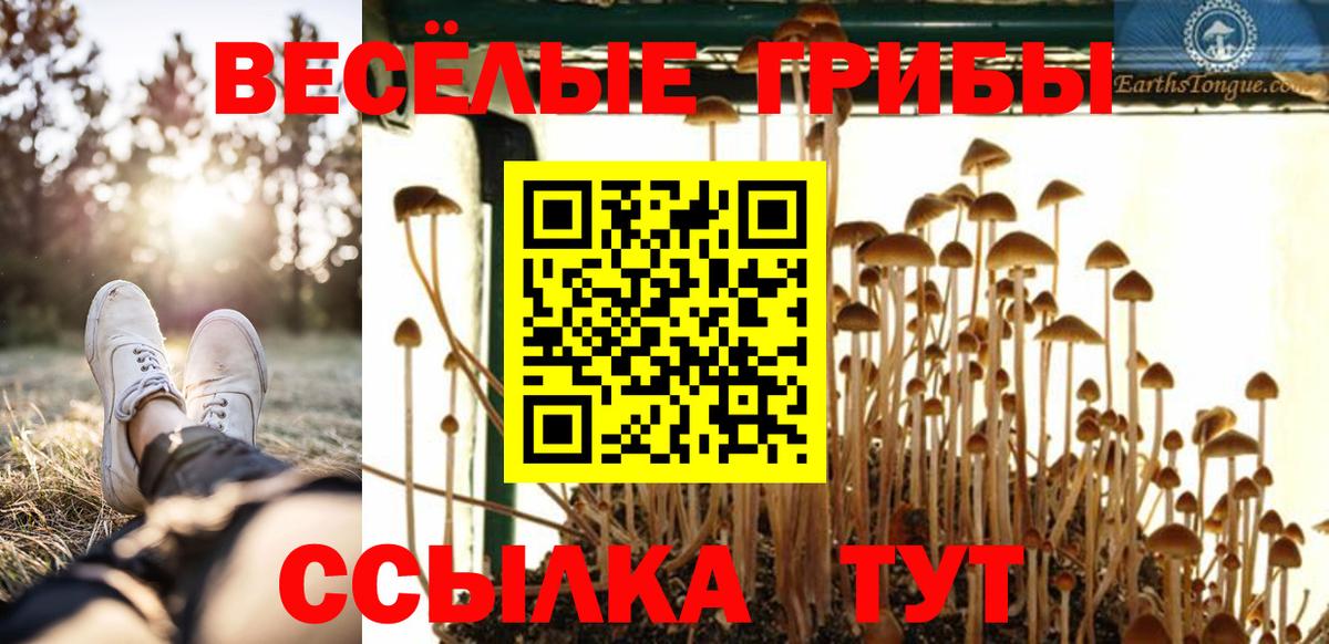 Галлюциногенные грибы Magic Shrooms Шелехов