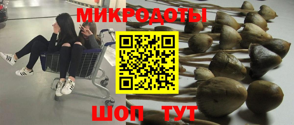 Галлюциногенные грибы Psilocybe  Вход с VPN  Шелехов 